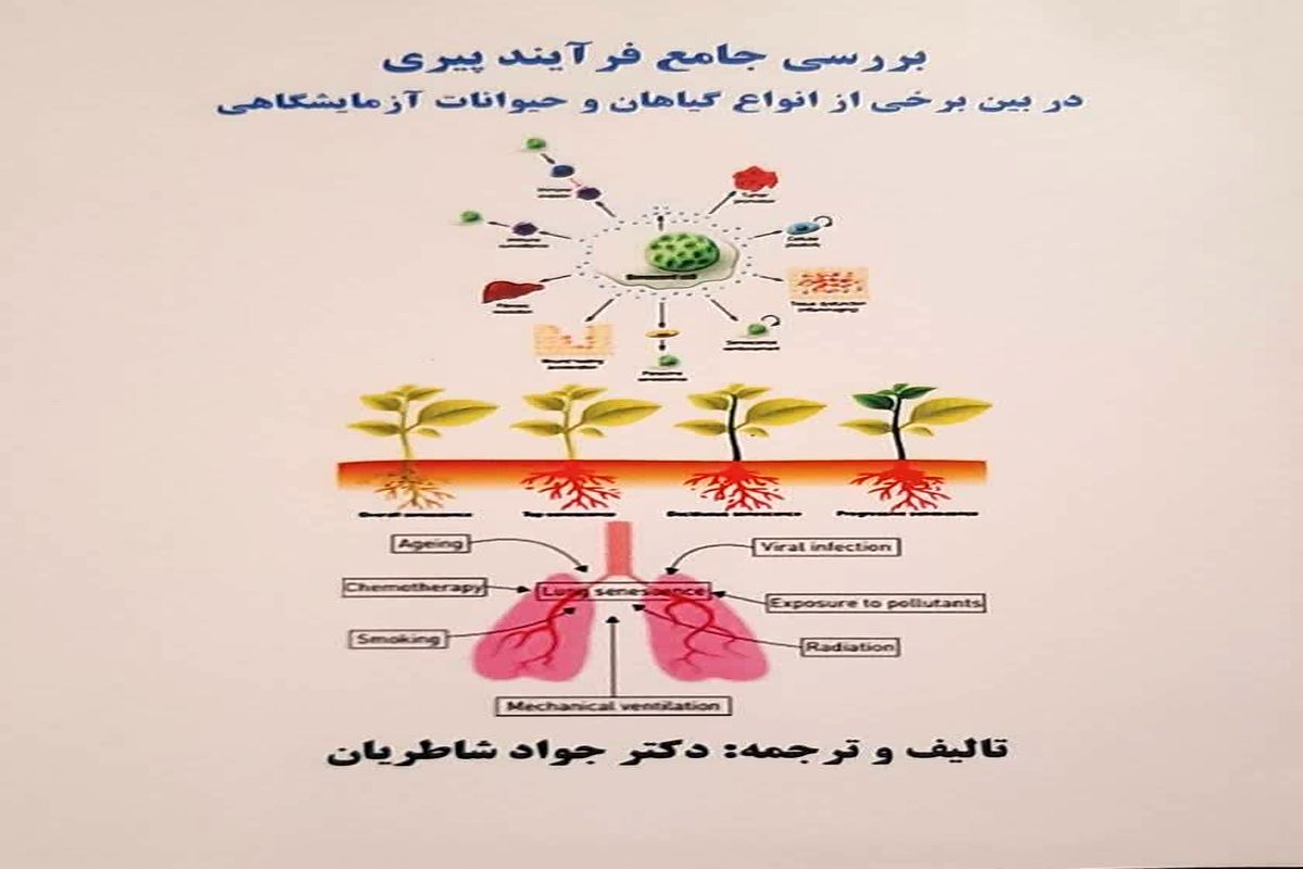 کتاب «بررسی جامع فرایند پیری در بین برخی از انواع گیاهان و حیوانات آزمایشگاهی» منتشر شد