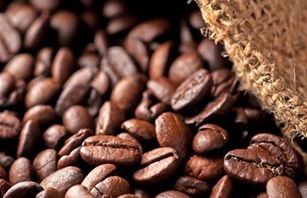 واردات ۱۴۸ میلیون دلاری قهوه به کشور در سال ۱۴۰۲/ واردات قهوه ۷۵ درصد افزایش یافت