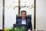 مدیرکل اقتصاد تهران از صدور ۲۲۱ هزار مجوز کسب‌وکار به صورت برخط خبر داد