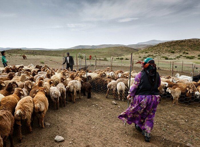  ۱۴۹ قشلاق در استان اردبیل فاقد آب آشامیدنی است 