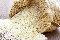 قیمت برنج تنظیم‌ بازاری ویژه ماه مبارک رمضان مشخص شد/ توزیع از امروز