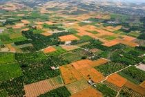 رشد ۶۱۴ درصدی صدور اسناد حدنگار برای اراضی زراعی در هرمزگان