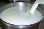 ۲۵۵ هزار تن شیر در کردستان تولید شد