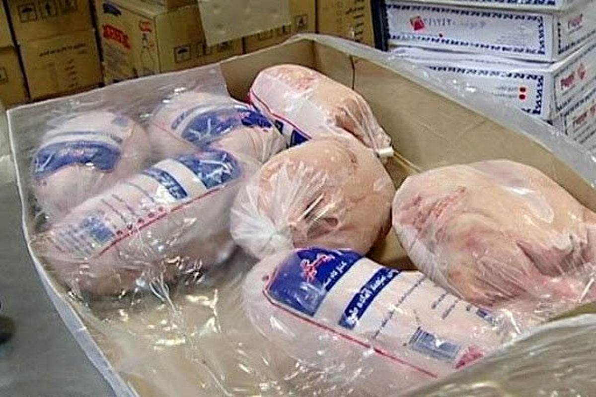توزیع 7 تن مرغ منجمد در نکا