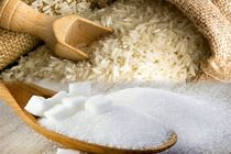 ۱۰۰ هزار تن انواع برنج وارداتی و ۶۰ هزار تن شکر در کشور عرضه شد