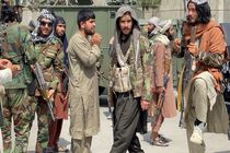 طالبان به جای پول نقد به کارمندان دولت گندم می‌دهد
