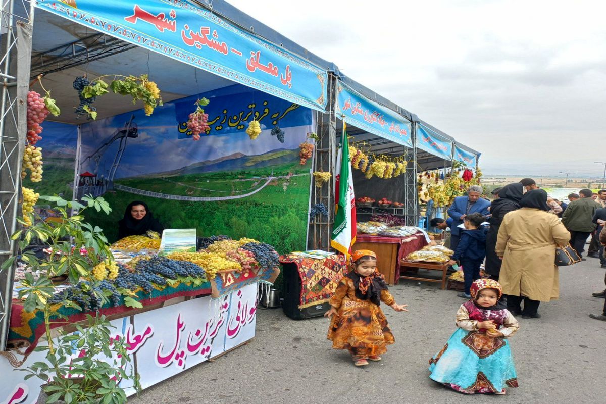 نخستین جشنواره ملی انگور در شهرستان مشگین‌شهر برگزار می‌شود