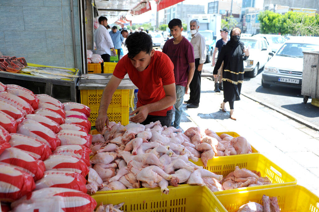 بازار مرغ تا اوایل اسفند تغییری ندارد
