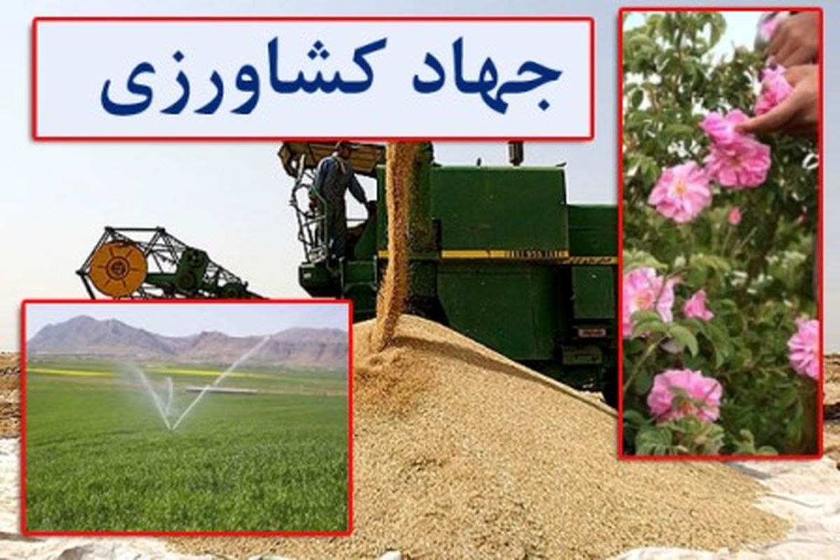 پرداخت تسهیلات 30 میلیارد و 20 میلیون تومان برای راه‌اندازی واحدهای راکد