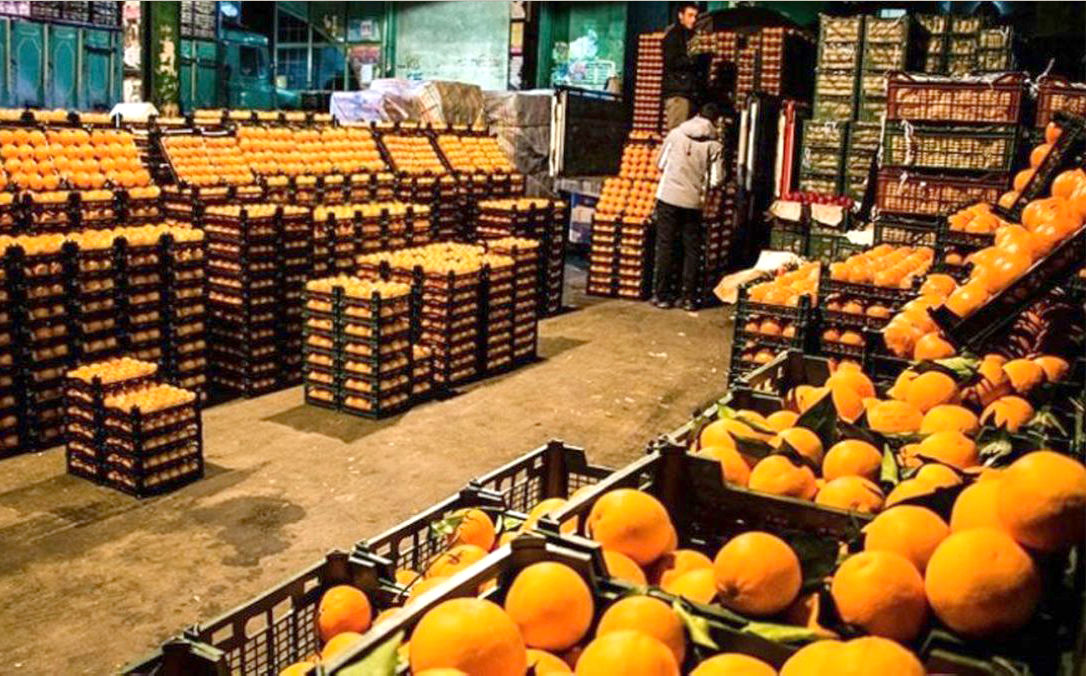 اتمام ذخیره‌سازی میوه تنظیم بازار شب عید در خراسان رضوی
