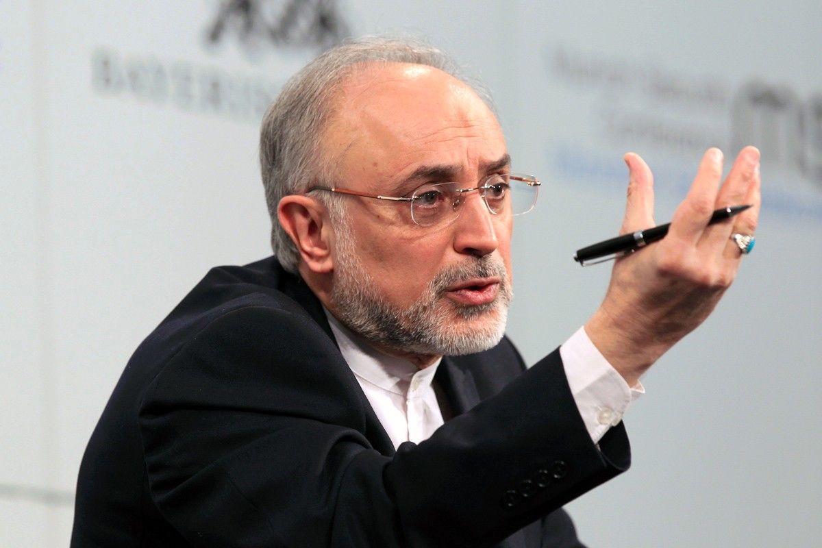 صالحی: ایران رقیب ریشه ای آمریکا است
