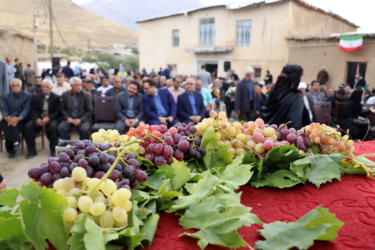  جشنی برای انگور و سیب در کندوله برپا شد