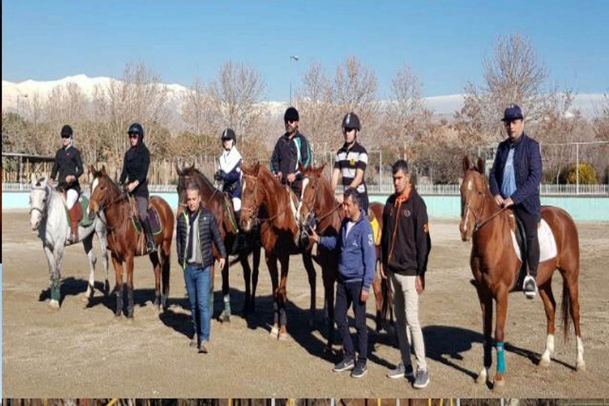 اهدای چهار راس اسب حرفه ای فدراسیون چوگان به گیلان