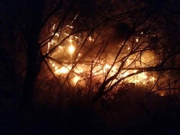 آتش سوزی گسترده در جنگل های باغملک