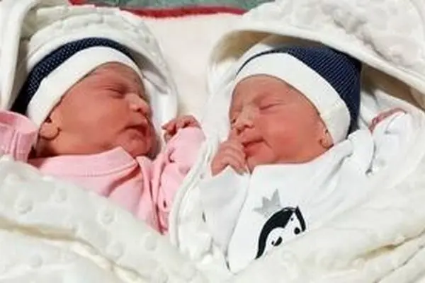 ثبت بیش از 11 هزار واقعه ولادت چند قلوزایی در هفت ماه سال 1404