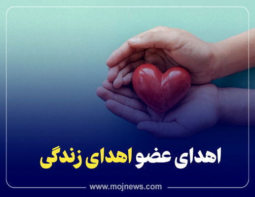 اهدای عضو استان یزد دردسال ۱۴۰۲ به ۱۷ مورد رسید 