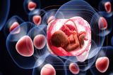 افزایش 30 درصدی ذخیره خون بند ناف نوزاد در هرمزگان