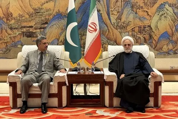 ایران و پاکستان در تامین امنیت جهانی نقش بسزایی دارند
