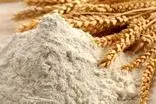 هیچ خللی در تأمین گندم و نان ایجاد نشده است