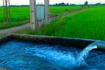 اختصاص 80 درصد آب مصرفی به حوزه کشاورزی در اردبیل