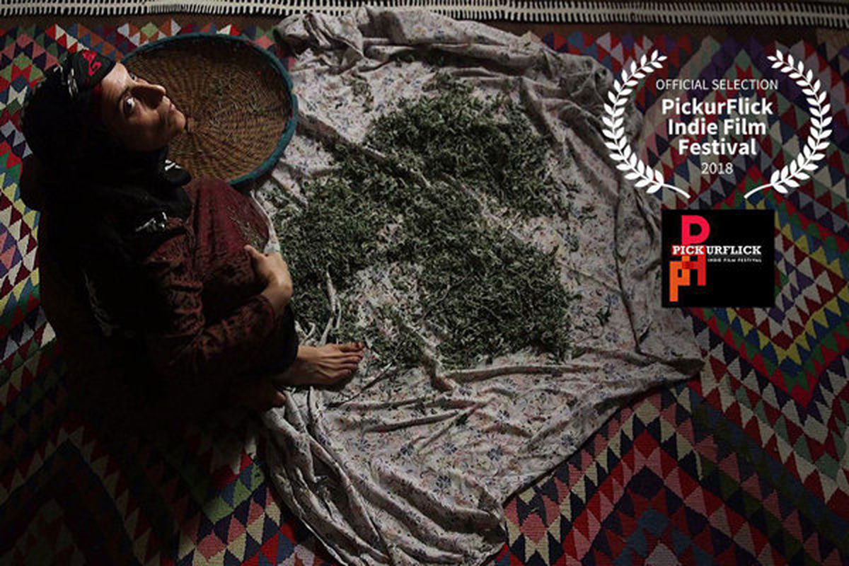نمایش فیلم کوتاه فروزان در یک جشنواره هندی