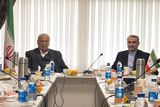 وزیر امور خارجه ایران با هیأت اندیشه‌ورز  وزارت امور خارجه دیدار کرد
