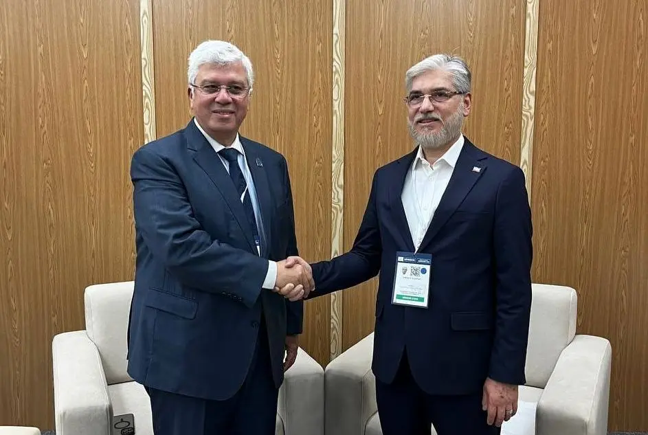 وزیر علوم، تحقیقات و فناوری با وزیر آموزش مصر دیدار کرد