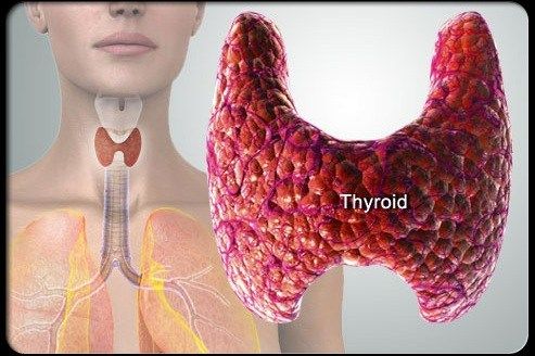 افزایش خطر بروز سرطان تیروئید در ایران با تجویز بی‌رویه رادیولوژی