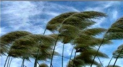 وزش باد شدید در نوار شرقی کشور
