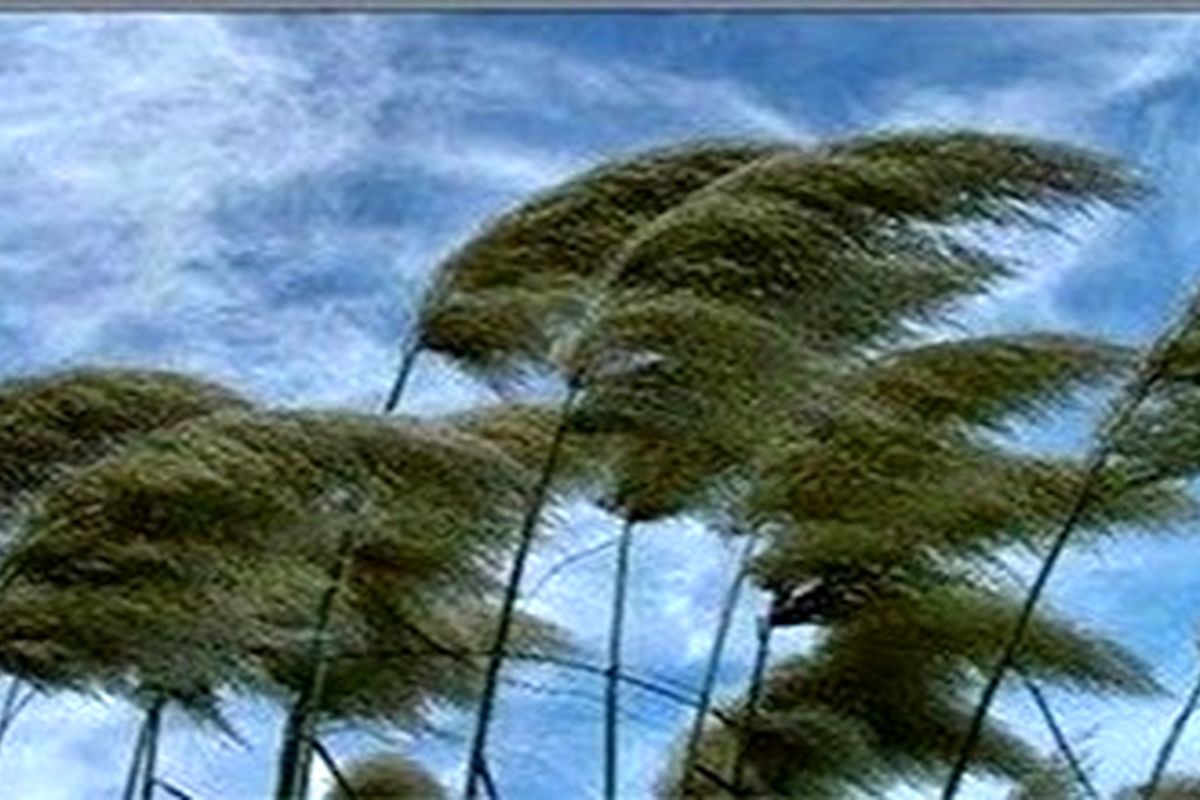 وزش باد شدید در نوار شرقی کشور