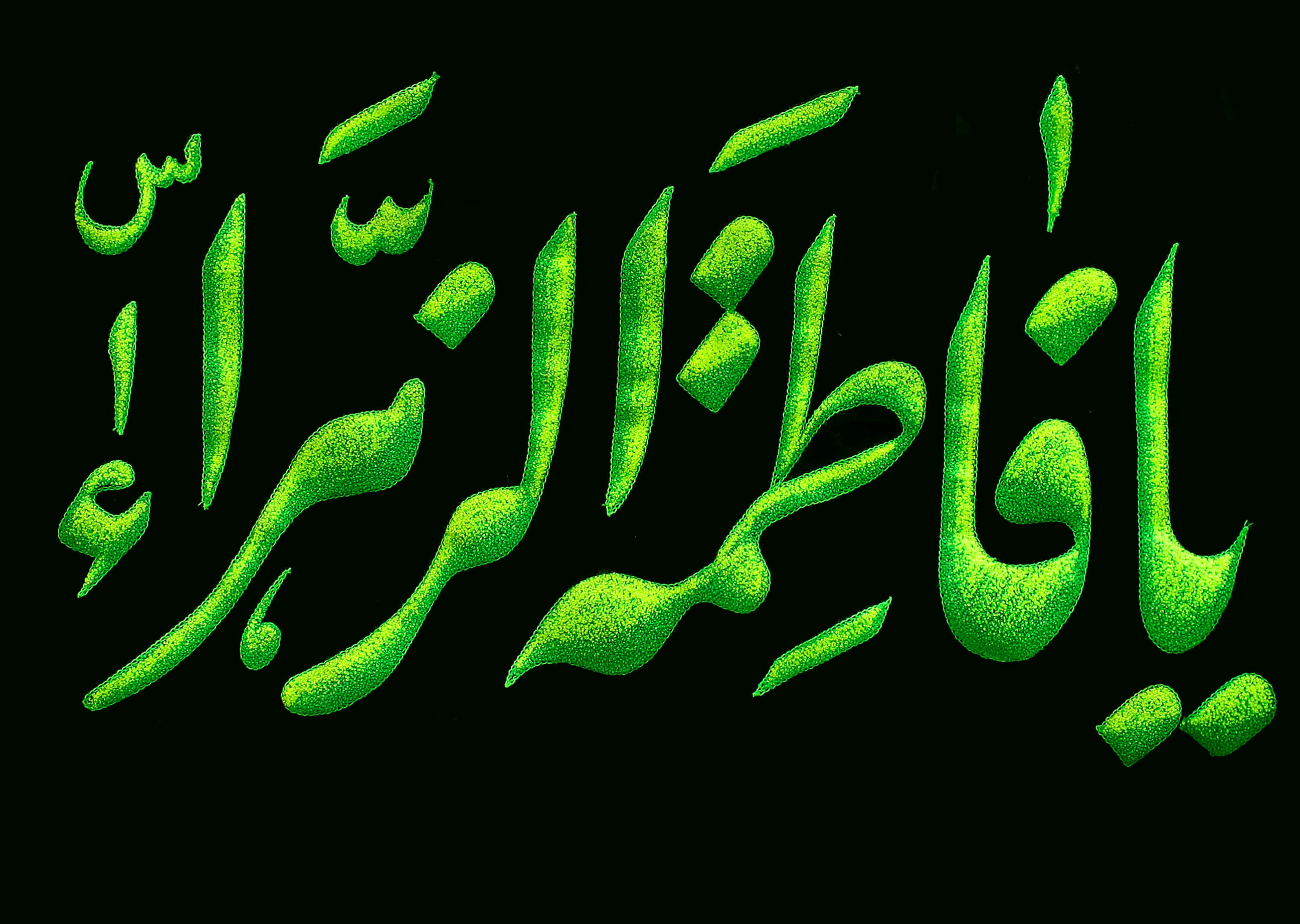  عزاداری  حضرت زهرا(س) در حرم امام خمینی(ره) 