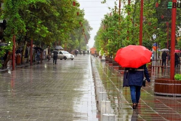  نیمه شمالی کشور تا شنبه کاهش دما خواهند داشت