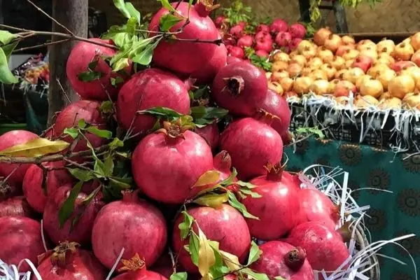 اعلام قیمت مصوب انار و هندوانه شب یلدا 