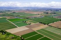 ثبت اطلاعات ۷۰ درصد از اراضی کشاورزی استان قزوین در سامانه سیاک