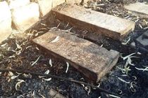 قبرستان تاریخی دارالسلام شیراز دچار آتش سوزی شد