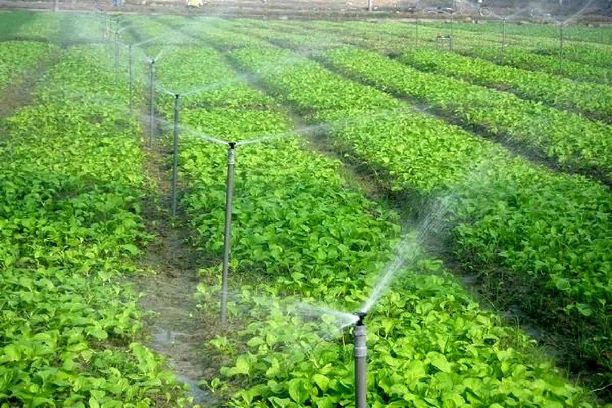 افتتاح همزمان 130 پروژه کشاورزی دراستان اصفهان 