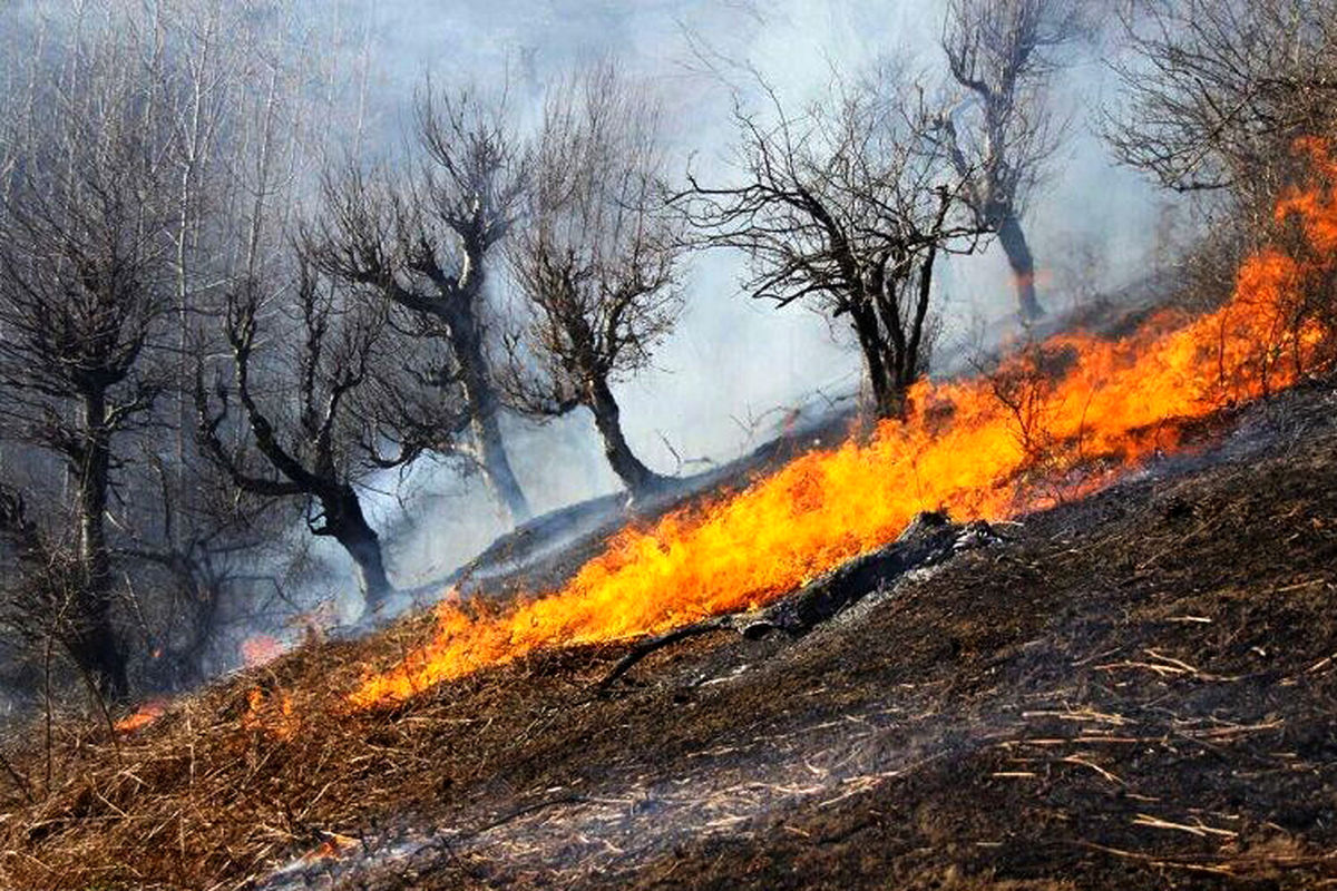 کاهش ۷۰ درصدی آتش‌سوزی در طبیعت خراسان رضوی