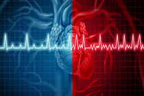 انجام خطرسنجی بیماری های قلبی برای جمعیت بالای ۳۰ سال در فارس