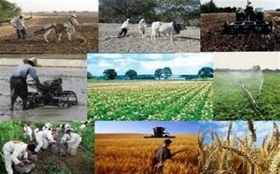 لزوم پاسخگویی جدی مسئولان جهاد کشاورزی در رفع مشکل دامداران