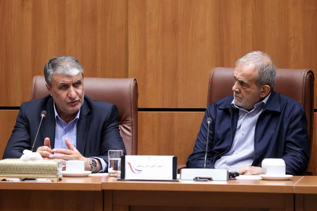 رئیس سازمان انرژی هسته ای