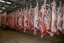 تولید سالانه 10 هزار تن گوشت قرمز در هرمزگان