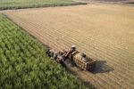 اجرای راهبرد تکمیل زنجیره تولید محصولات کشاورزی در قم
