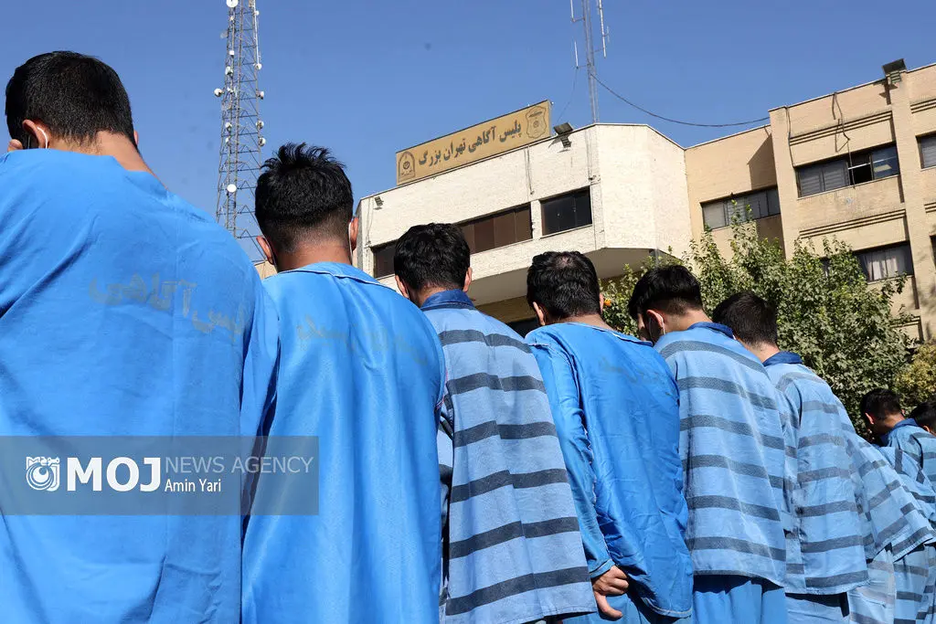 پایان فعالیت باند سرقت و قاپ‌زنی در خیابان خیام تهران