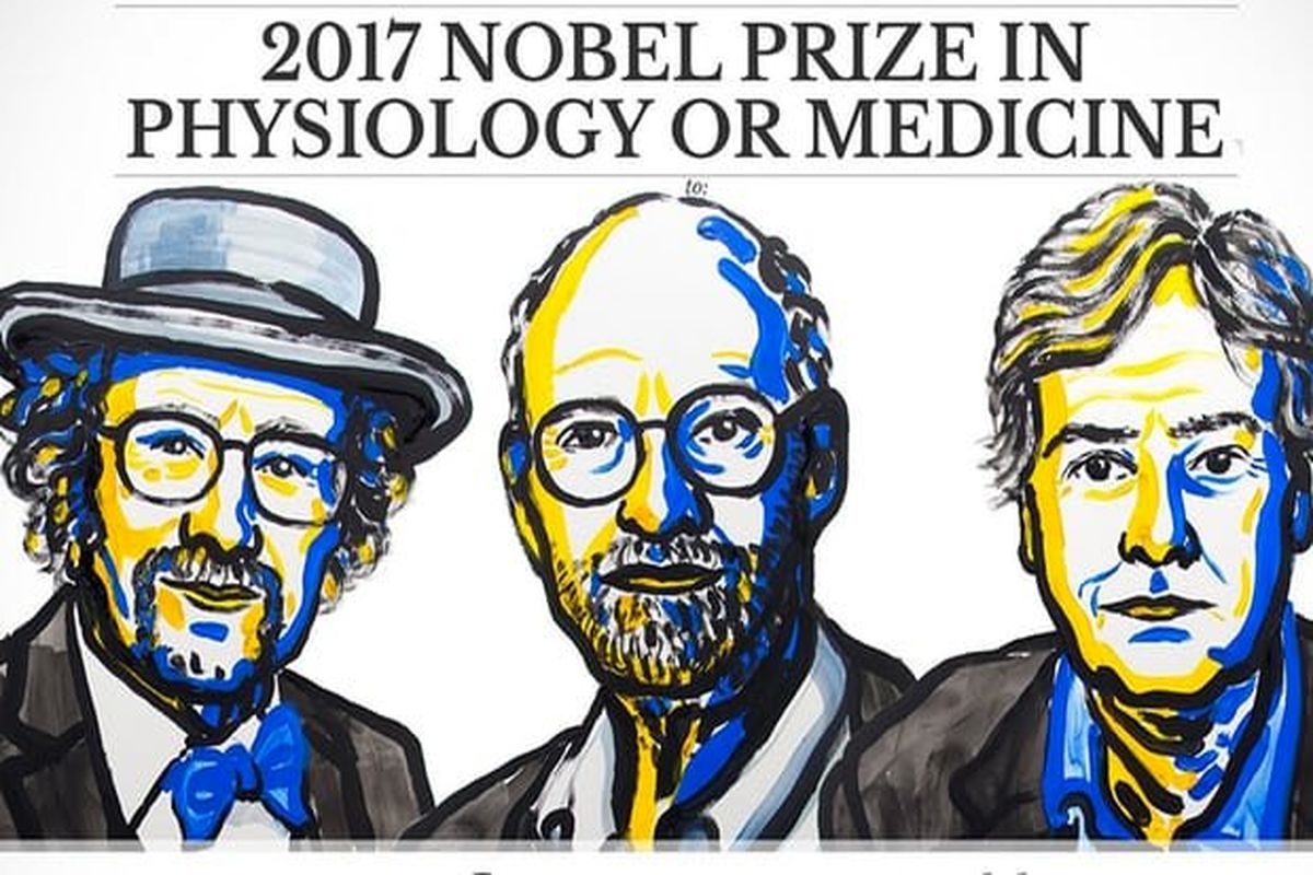 دریافت نوبل پزشکی به 3 دانشمند آمریکایی 