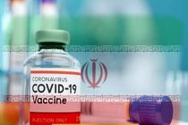 صدور مجوز تزریق واکسن کرونای ایرانی برای هفت نفر دیگر از فردا