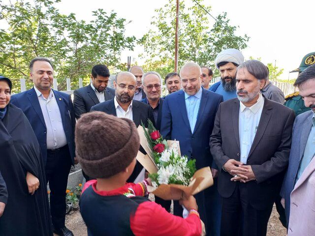 رییس مجلس شورای اسلامی از پروژه‌های صنعتی شیروان بازدید کرد