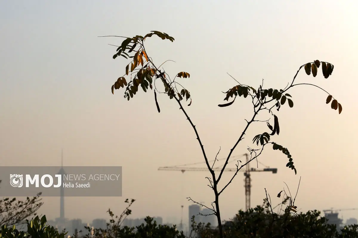 آلودگی هوای تهران