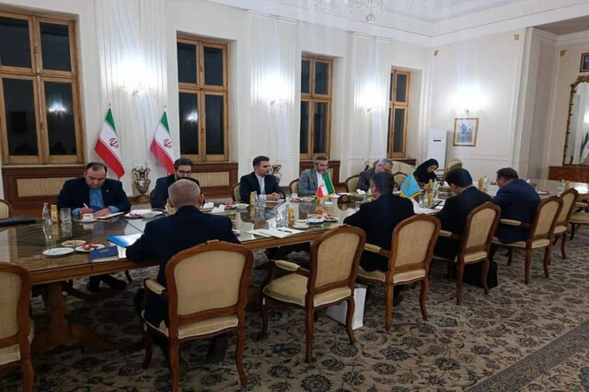 علی باقری و ریابکوف در مورد آخرین وضعیت مذاکرات رفع تحریم رایزنی کردند