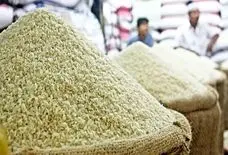 دولت با حذف مالیات بر ارزش افزوده سود هنگفتی به واردکنندگان برنج داد