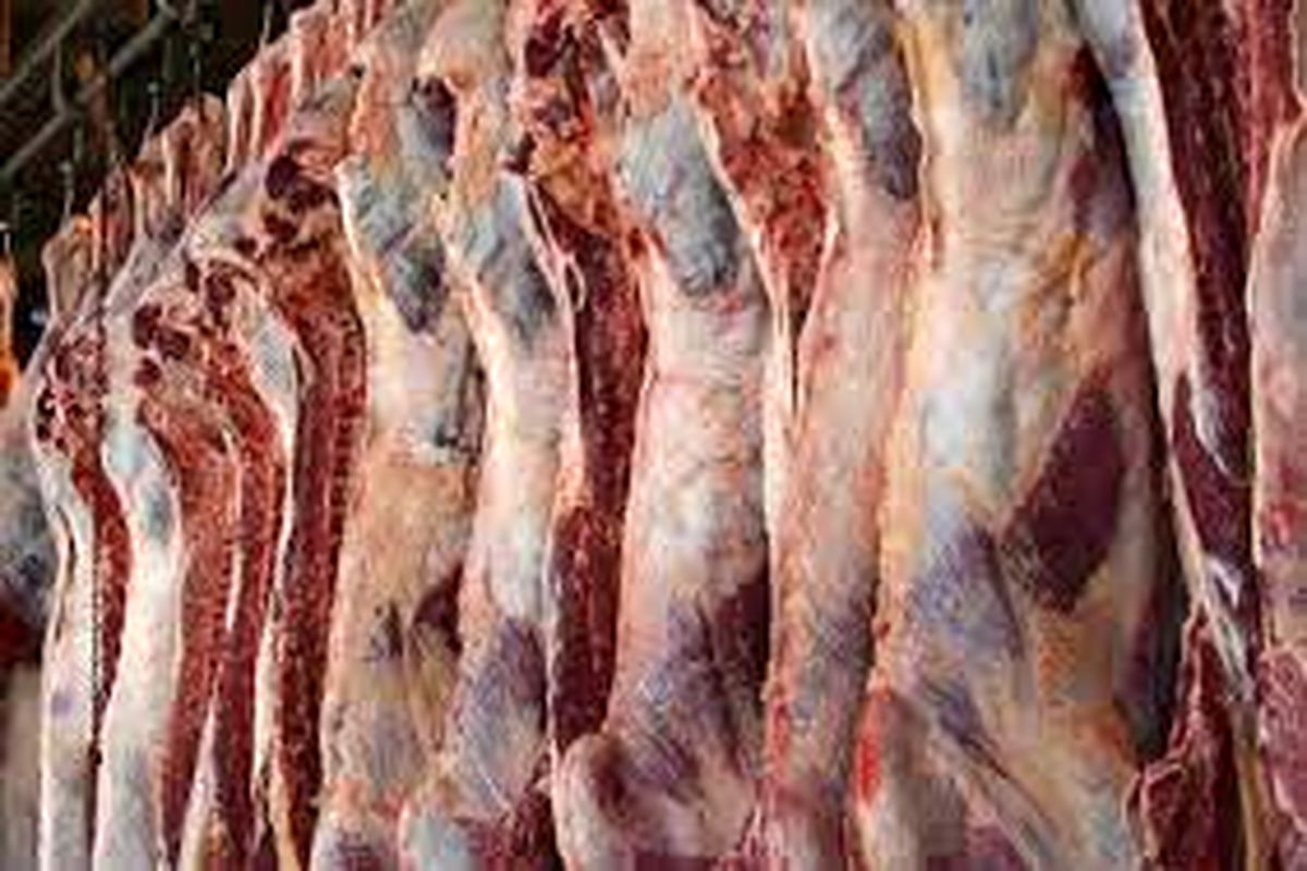 ۳۶ تا ۳۷ هزار تومان قیمت مناسب برای گوشت قرمز است
